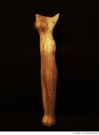 Abbildung: Leo