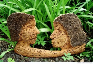 Abbildung: Romeo und Julia