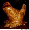 Abbildung: Kirschwurzeltorso