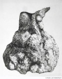 Abbildung: Baumtorso