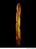 Abbildung: Wendel
