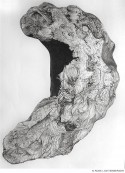 Abbildung: Baummonster