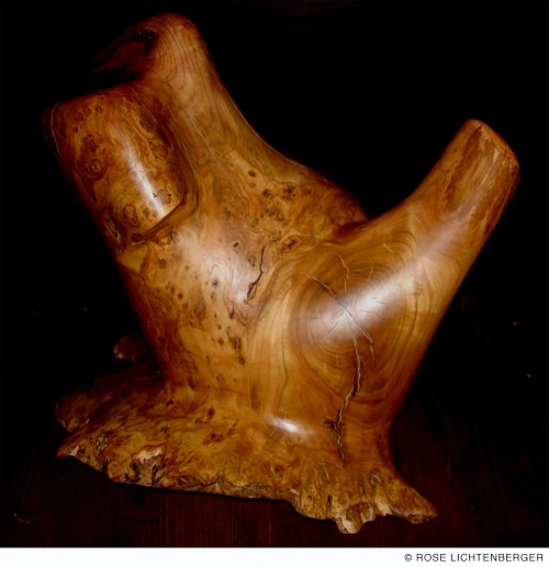 Abbildung: Kirschwurzeltorso