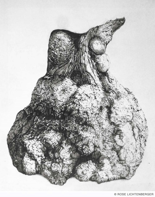 Abbildung: Baumtorso