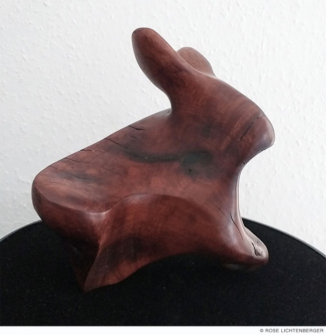 Abbildung: Bin ich ein Hase?