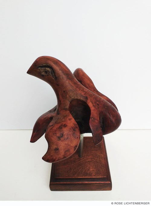 Abbildung: Flieg Vogel flieg ...