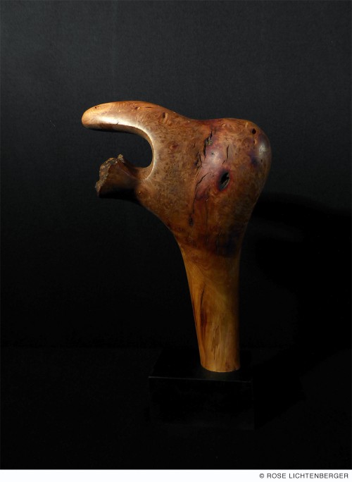 Abbildung: Griesgram 