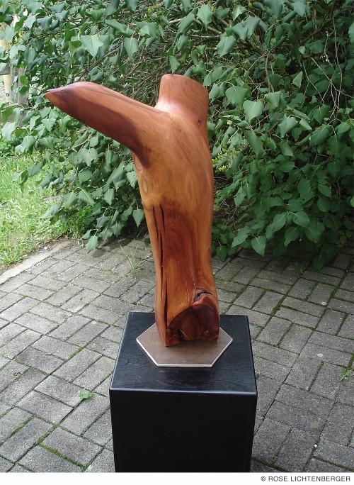 Abbildung: Kleiner Torso
