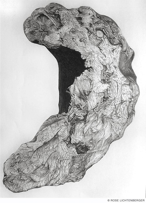 Abbildung: Baummonster