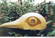 Abbildung: Vogelkopf