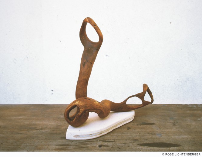 Abbildung: Cobra