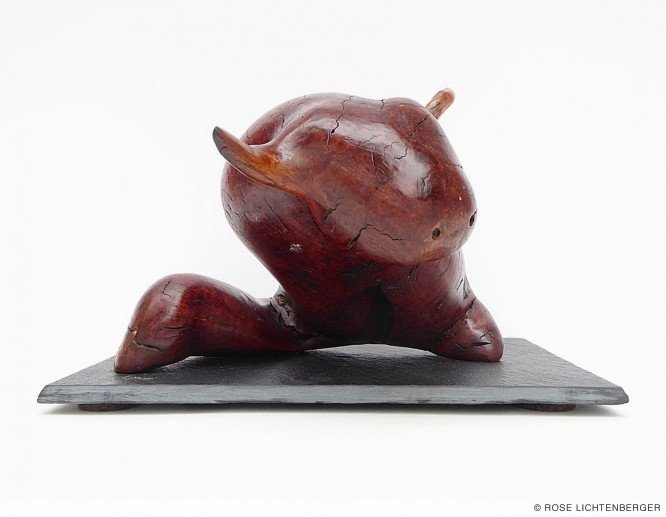 Abbildung: Minitaurus
