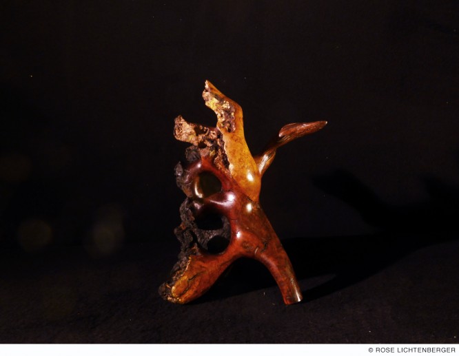 Abbildung: Phoenix