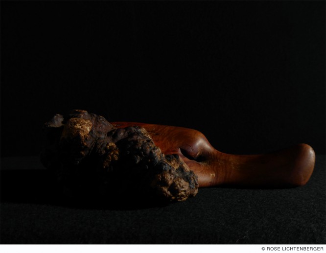 Abbildung: Schlafender Hund