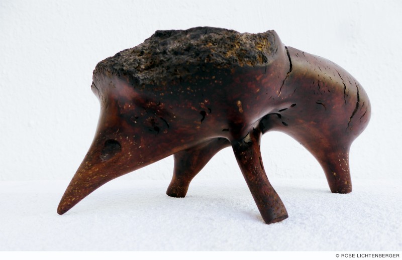 Abbildung: Schweineigel